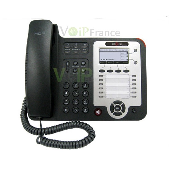 Professional WIFI IP Phone WS320
